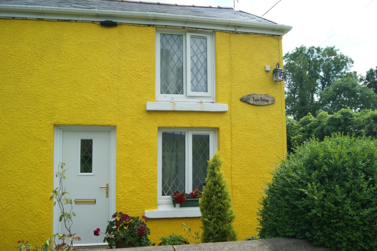 Apple Cottage Brynamman Eksteriør billede